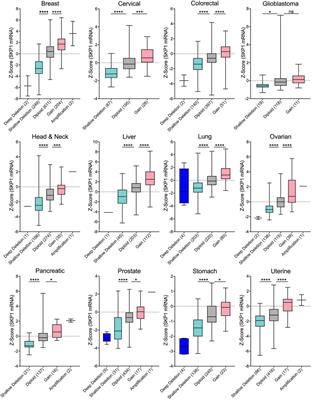 Aberrant SKP1 Expression: Diverse Mechanisms Impacting Genome and Chromosome Stability